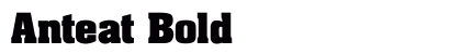 Anteat Bold preview