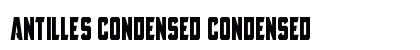 Antilles Condensed Condensed preview