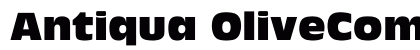 Antiqua OliveComp Preview