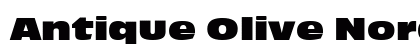 Antique Olive Nord D Regular preview