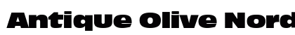 Antique Olive Nord P Regular preview