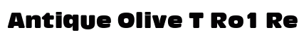 Antique Olive T Ro1 Regular preview