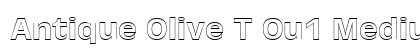 Antique Olive T Ou1 Medium preview