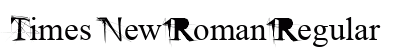 Times New Roman Regular Preview