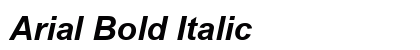 Arial Bold Italic Preview
