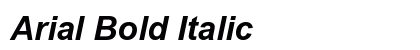 Arial Bold Italic Preview
