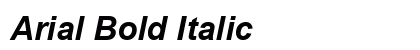 Arial Bold Italic Preview