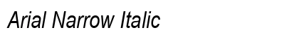 Arial Narrow Italic Preview