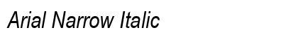 Arial Narrow Italic Preview
