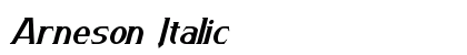 Arneson Italic Preview