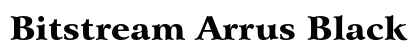 Bitstream Arrus Black Preview