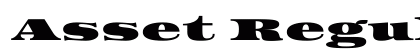 Asset Regular preview