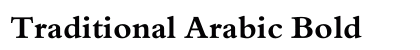 Traditional Arabic Bold preview