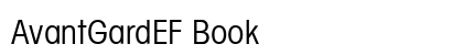 AvantGardEF Book preview