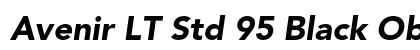 Avenir LT Std 95 Black Oblique Preview