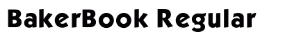 BakerBook Regular preview