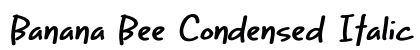 Banana Bee Condensed Italic Preview