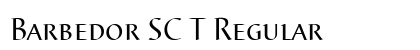 Barbedor SC T Regular Preview