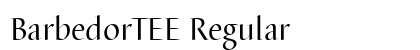 BarbedorTEE Regular Preview
