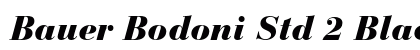 Bauer Bodoni Std 2 Black Italic Preview