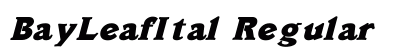 BayLeafItal Regular preview