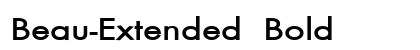 Beau-Extended Bold preview