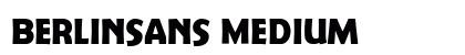Berlinsans Medium Preview