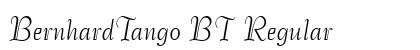 BernhardTango BT Regular preview