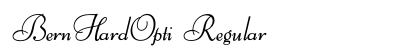 BernHardOpti Regular preview