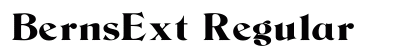 BernsExt Regular preview