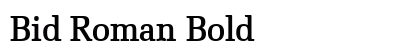 Bid Roman Bold preview