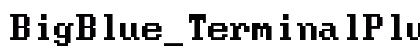 BigBlue_TerminalPlus Nerd Font Book preview
