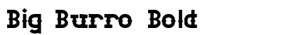 Big Burro Bold Preview
