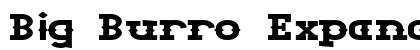 Big Burro Expanded Bold preview