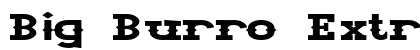 Big Burro Extra-expanded Bold Preview