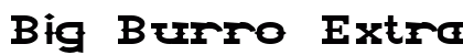 Big Burro Extra-expanded Italic preview