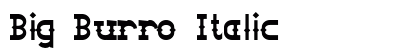 Big Burro Italic Preview