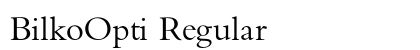 BilkoOpti Regular preview
