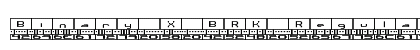 Binary X BRK Regular preview