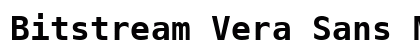 Bitstream Vera Sans Mono Bold preview