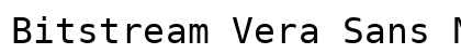 Bitstream Vera Sans Mono Roman preview