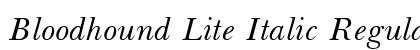 Bloodhound Lite Italic Regular preview