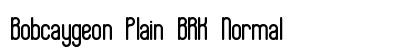 Bobcaygeon Plain BRK Normal preview
