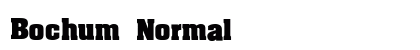 Bochum Normal preview