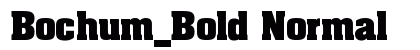 Bochum_Bold Normal preview