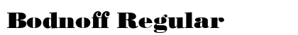 Bodnoff Regular Preview