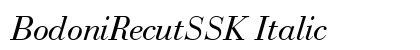 BodoniRecutSSK Italic preview