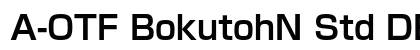 A-OTF BokutohN Std DB preview