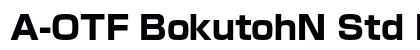 A-OTF BokutohN Std H preview