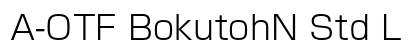 A-OTF BokutohN Std L Preview